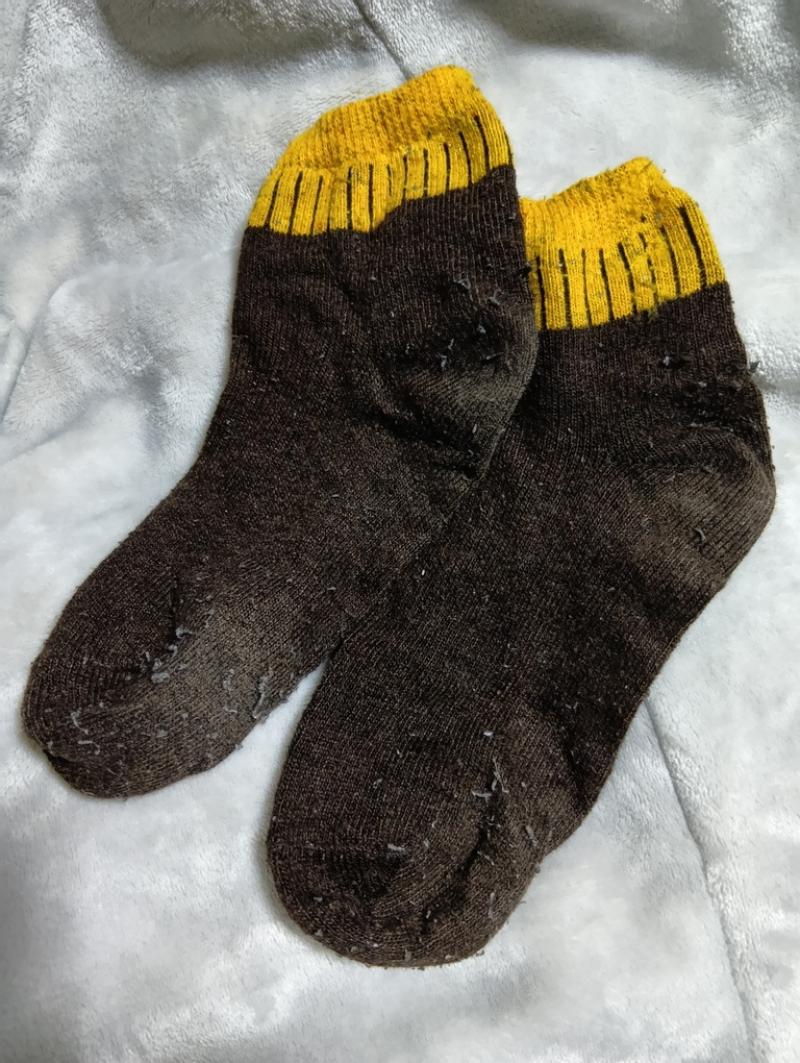 出品者名-写真-1